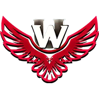 悟空归来,筋斗云飘落,凡间,2026FIFA世界杯直播赛程,世界杯门票